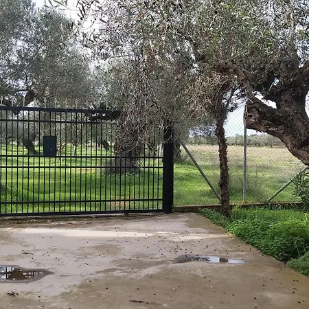 Olive Georgia Φιλιατρά