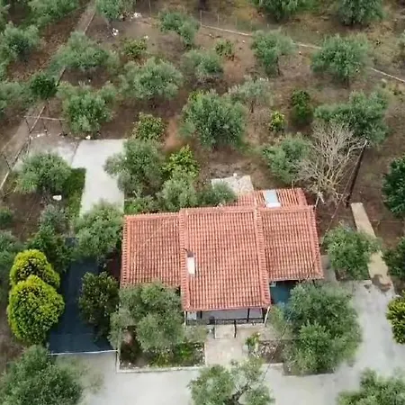 Olive Georgia Σπίτι διακοπών *