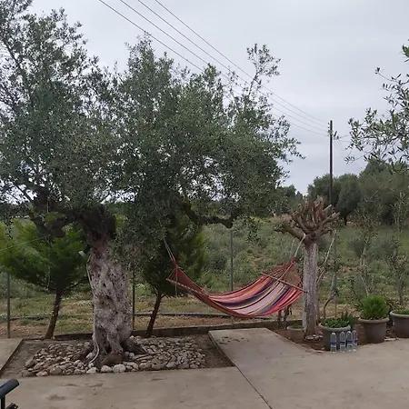 Olive Georgia